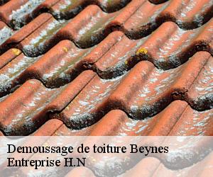 Demoussage de toiture  beynes-78650 Entreprise H.N