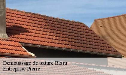 Demoussage de toiture