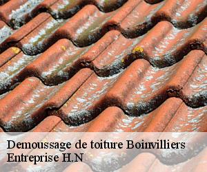 Demoussage de toiture  boinvilliers-78200 Entreprise H.N