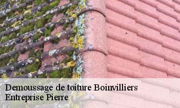 Demoussage de toiture boinvilliers-78200 Entreprise Pierre