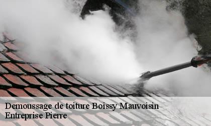 Demoussage de toiture  78200