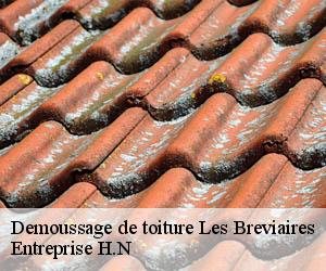 Demoussage de toiture  les-breviaires-78610 Entreprise H.N