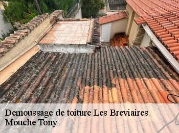 Demoussage de toiture  les-breviaires-78610 Mouche Tony