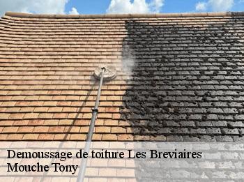 Demoussage de toiture  78610