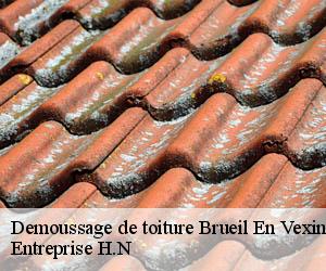 Demoussage de toiture  brueil-en-vexin-78440 Entreprise H.N