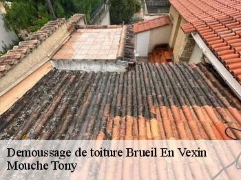 Demoussage de toiture  brueil-en-vexin-78440 Mouche Tony