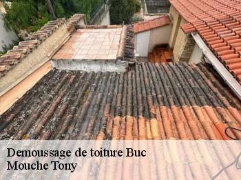 Demoussage de toiture  buc-78530 Mouche Tony