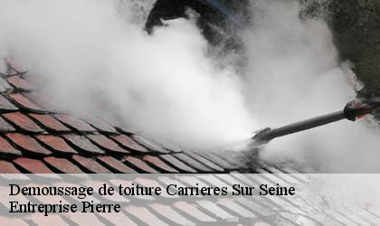 Demoussage de toiture 78420