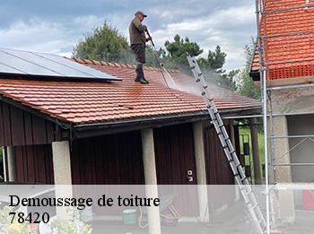 Demoussage de toiture