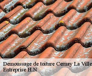 Demoussage de toiture  cernay-la-ville-78720 Entreprise H.N