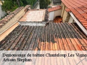 Demoussage de toiture  chanteloup-les-vignes-78570 Artisan Stephan