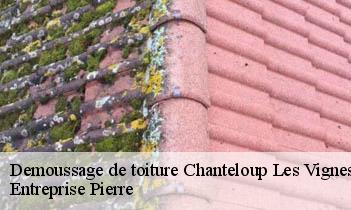 Demoussage de toiture  chanteloup-les-vignes-78570 Entreprise Pierre