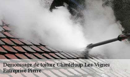 Demoussage de toiture  78570