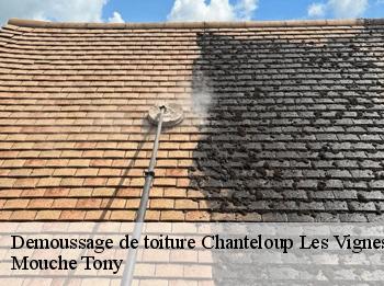 Demoussage de toiture  78570