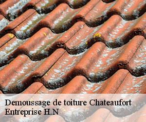 Demoussage de toiture  chateaufort-78117 Entreprise H.N