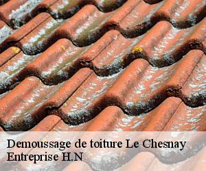 Demoussage de toiture  le-chesnay-78150 Entreprise H.N