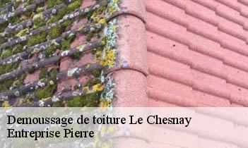 Demoussage de toiture le-chesnay-78150 Entreprise Pierre