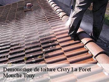 Demoussage de toiture