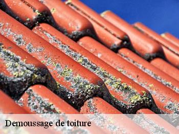 Demoussage de toiture