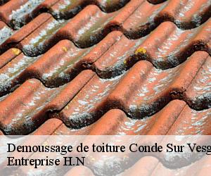 Demoussage de toiture  conde-sur-vesgre-78113 Entreprise H.N