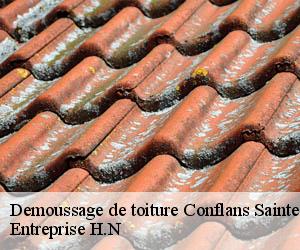 Demoussage de toiture  conflans-sainte-honorine-78700 Entreprise H.N