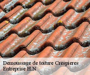 Demoussage de toiture  crespieres-78121 Entreprise H.N