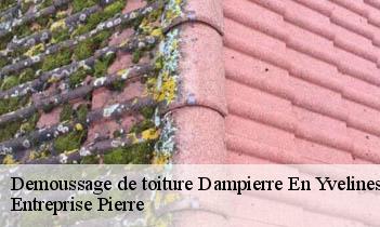 Demoussage de toiture dampierre-en-yvelines-78720 Entreprise Pierre