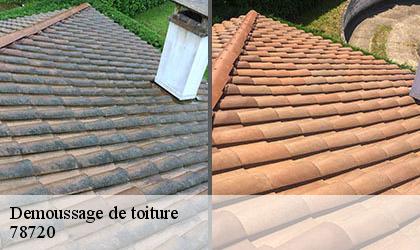 Demoussage de toiture 78720