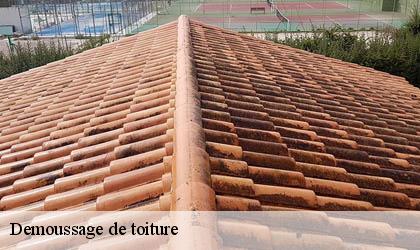 Demoussage de toiture