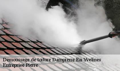 Demoussage de toiture 78720