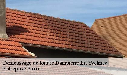 Demoussage de toiture