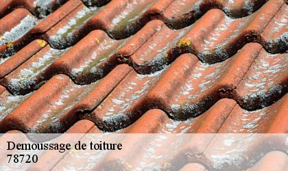 Demoussage de toiture 78720