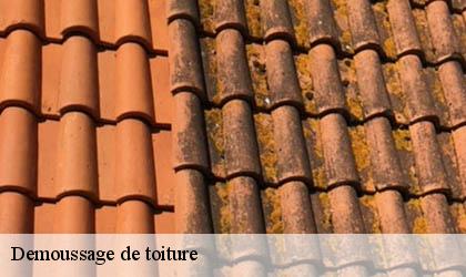 Demoussage de toiture