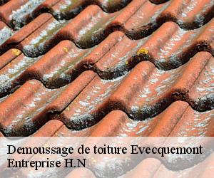 Demoussage de toiture  evecquemont-78740 Entreprise H.N