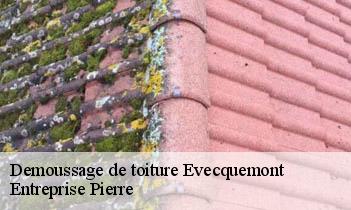 Demoussage de toiture evecquemont-78740 Entreprise Pierre