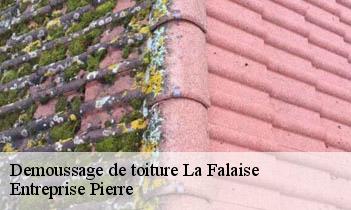 Demoussage de toiture la-falaise-78410 Entreprise Pierre