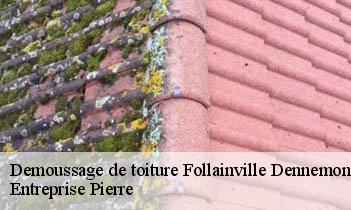 Demoussage de toiture follainville-dennemont-78520 Entreprise Pierre