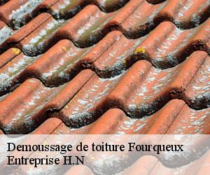 Demoussage de toiture  fourqueux-78112 Entreprise H.N
