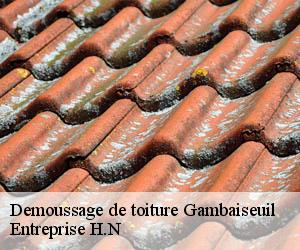 Demoussage de toiture  gambaiseuil-78490 Entreprise H.N