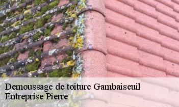 Demoussage de toiture  gambaiseuil-78490 Entreprise Pierre
