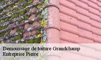 Demoussage de toiture grandchamp-78113 Entreprise Pierre