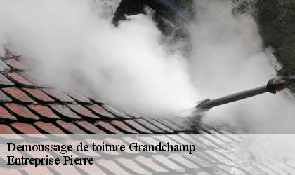 Demoussage de toiture 78113