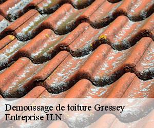Demoussage de toiture  gressey-78550 Entreprise H.N