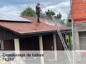 Demoussage de toiture