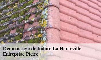 Demoussage de toiture  la-hauteville-78113 Entreprise Pierre