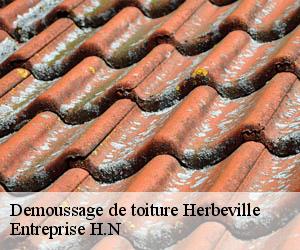 Demoussage de toiture  herbeville-78580 Entreprise H.N