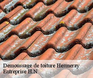 Demoussage de toiture  hermeray-78125 Eugene Toiture