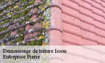 Demoussage de toiture  issou-78440 Entreprise Pierre