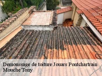 Demoussage de toiture  jouars-pontchartrain-78760 Mouche Tony