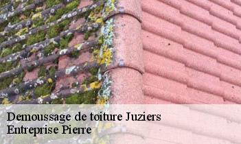 Demoussage de toiture  juziers-78820 Entreprise Pierre